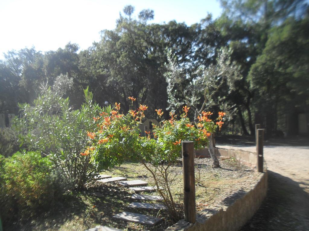 Quinta Do Outeiro Alto Villa Constancia Exterior photo